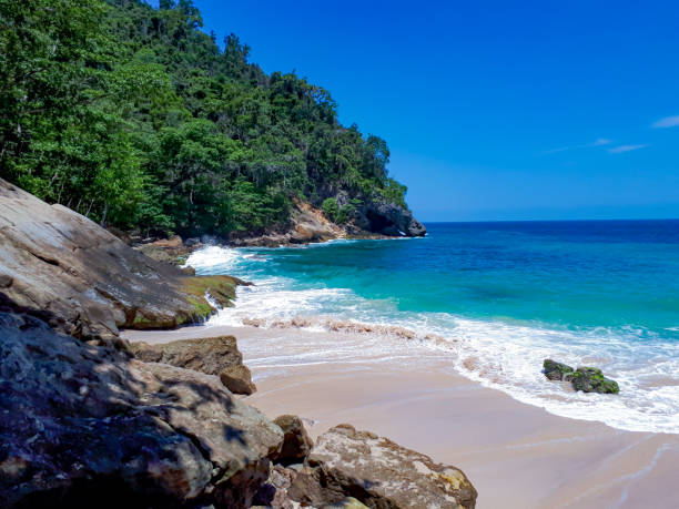istock Beautiful beach in indonesia 1452413521