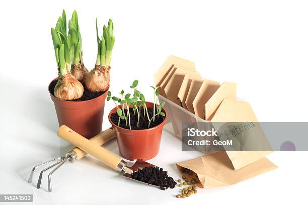 Gardeners Spring Stock Photo - Download Image Now - Box - Container, Bud, Circle