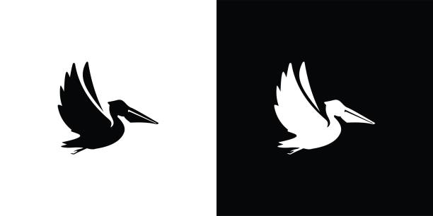 Vector pelican icon logo design.