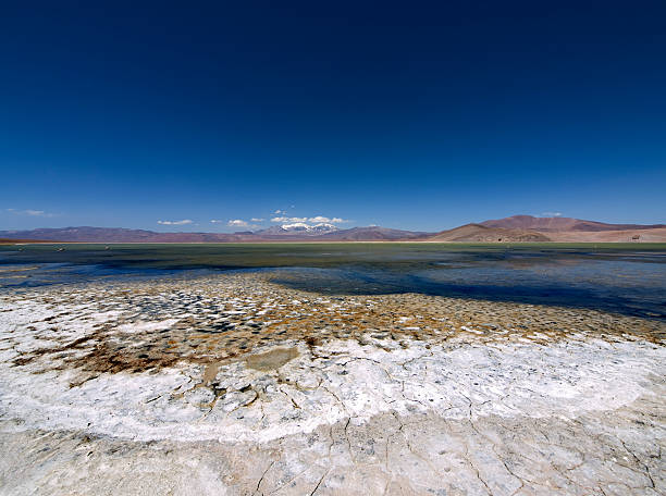 istock Lake Santa Rosa, Salar de Maricunga, Atacama Desert, Chile 145241753