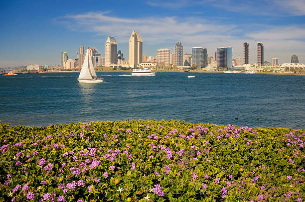 San Diego downtown skyline