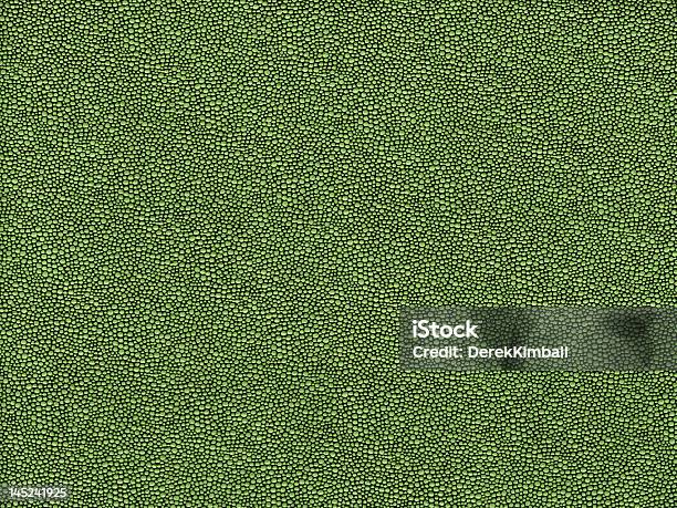 Reptile Texture Stock Photo - Download Image Now - Skin, Textured, Abstract