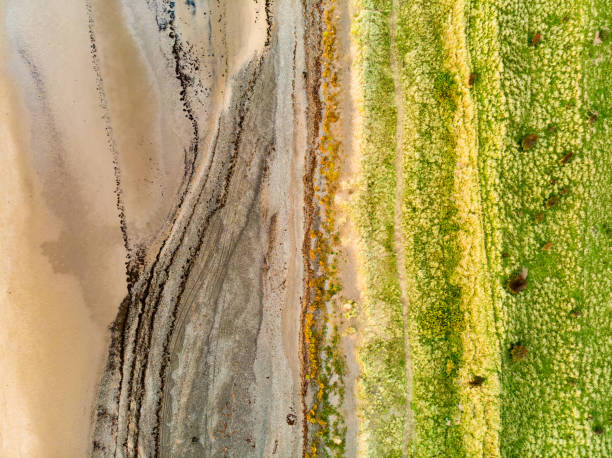 vista aerea dall'alto verso il basso della spiaggia del villaggio di allonby nel distretto di allerdale in cumbria, regno unito - scenics coastline uk moss foto e immagini stock