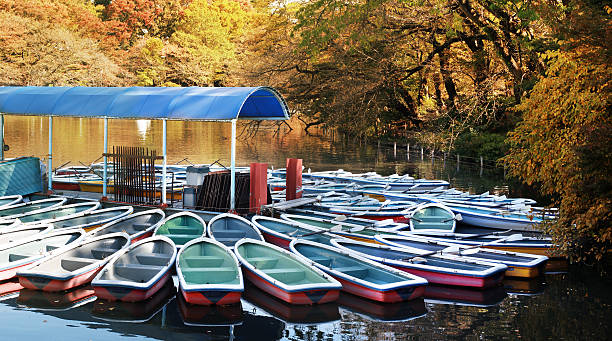 Otoño en el parque - foto de stock