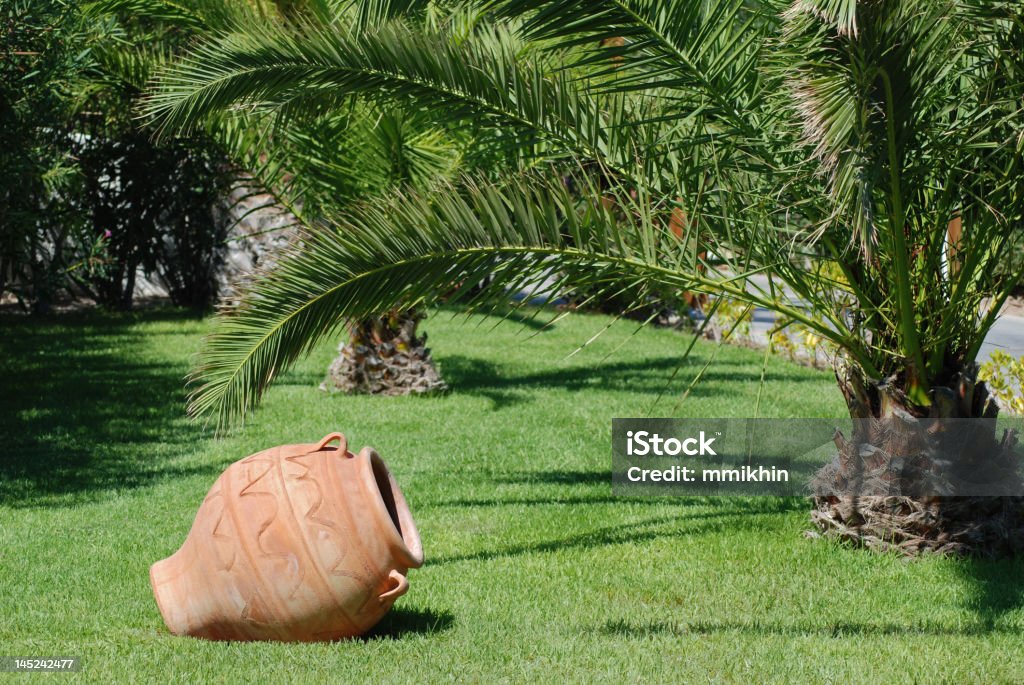 Amfora w palm tree - Zbiór zdjęć royalty-free (Amfora)