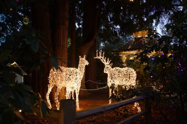 istock Vancouver Christmas lightings 2022 1452426655