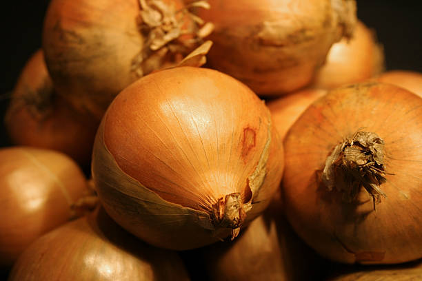 spanish onion stock photo