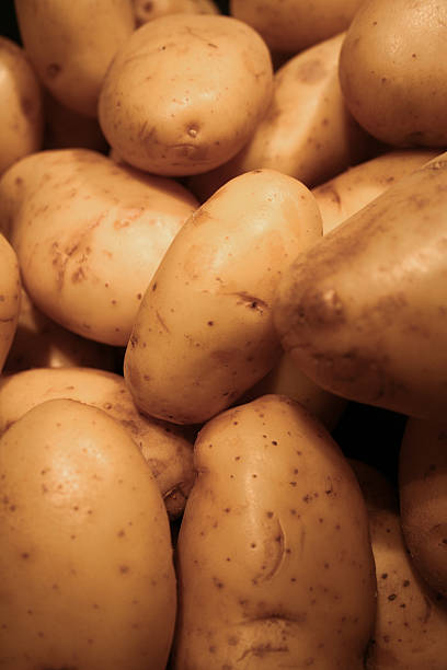 Raw Potatoes stock photo