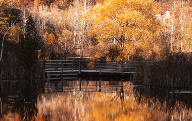 An Autumn Landscape Reflected in Calm Water stock photo