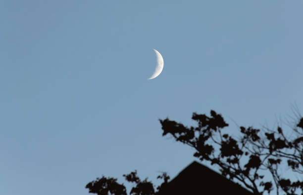 A Waxing Crescent Moon above the Trees and Rooftops stock photo