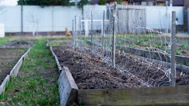 istock The trellis net is stretched on an empty bed in the evening 1452430271