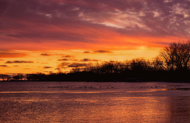 A dramatic purple and orange sunset above a calm lake during an autumn evening in Toronto, Ontario, Canada. A flock of birds can be seen in the distance.