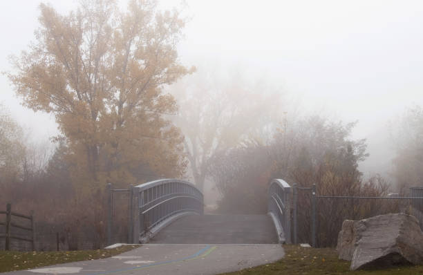 Trees and a Bridge on a Foggy Day stock photo