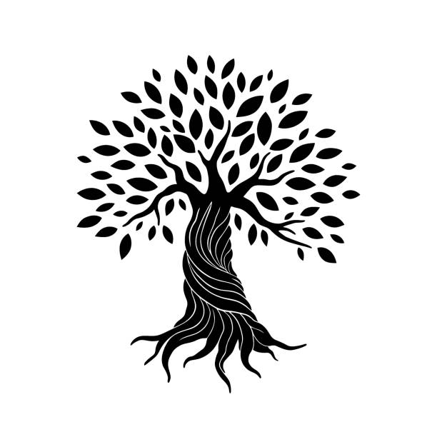 Tree Silhouette of a tree with branches, leaves and roots. Vector illustration, logo of the black olive tree icon. genealogy stock illustrations
