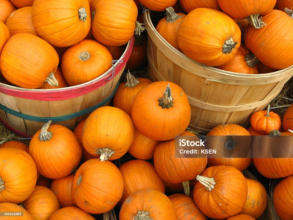 Две корзины с Pumpkins - Стоковые фото Бежевый роялти-фри