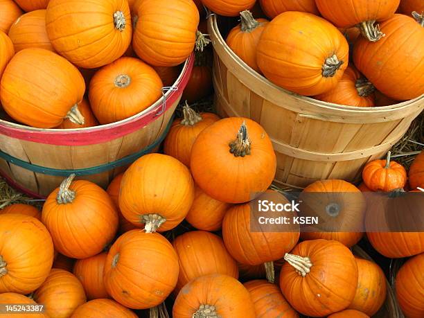 Две Корзины С Pumpkins — стоковые фотографии и другие картинки Бежевый - Бежевый, Близость, Большая группа объектов