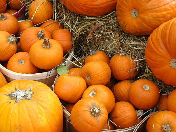 istock Baskets Full of Pumpkins 145243395