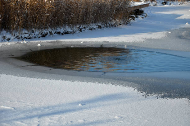 aeration bubbles. it is important source of oxygen for bacteria and, thanks to aeration, water mixed and impurities are released from the bottom. ideal way to keep pond operational even in cold, snow, aerated,purification, biological, production, nozzle, air, typha latifolia, floating, oxygenation