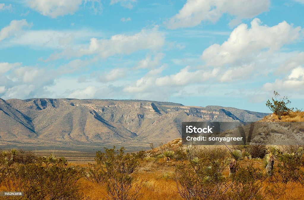 Belleza del desierto - Foto de stock de Aire libre libre de derechos