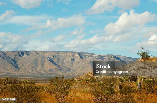 Foto de Beleza Do Deserto e mais fotos de stock de Beleza natural - Natureza - Beleza natural - Natureza, Cacto, Céu - Fenômeno natural