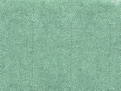Nice reptilian skin texture. Great pattern at 300 resolution. You can easily change the green to any color using Photoshop' color settings.  Many textures are zoomed in so far that it makes it difficult to get much 