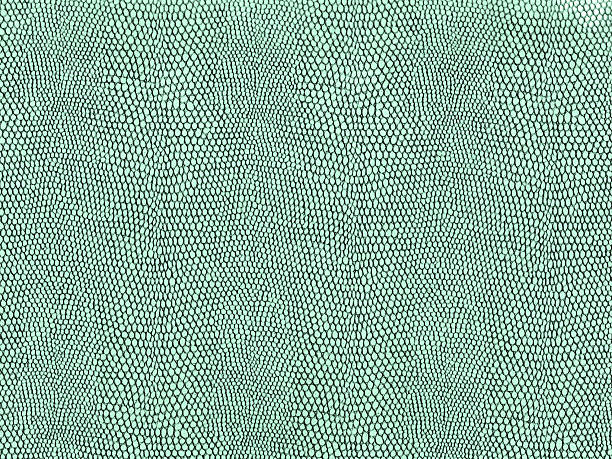 Reptile Skin ((high res, all in focus) Nice reptilian skin texture. Great pattern at 300 resolution. You can easily change the green to any color using Photoshop' color settings.  Many textures are zoomed in so far that it makes it difficult to get much ""spread"" without having to connect and blend a bunch of the textures together. Not with this one...there's a bunch of scales here! reptiles stock pictures, royalty-free photos & images