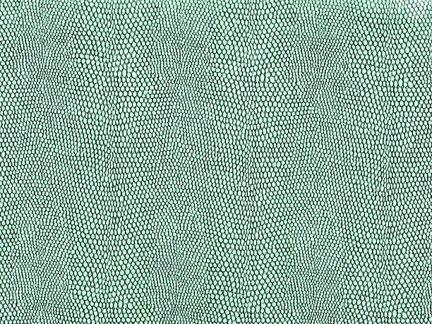 Nice reptilian skin texture. Great pattern at 300 resolution. You can easily change the green to any color using Photoshop' color settings.  Many textures are zoomed in so far that it makes it difficult to get much ""spread"" without having to connect and blend a bunch of the textures together. Not with this one...there's a bunch of scales here!