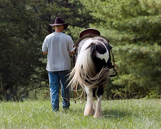 istock Cowboy and Horse Go Home 145243907