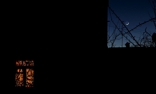 Night Sky and Milky Way Nature Panorama behind a beautiful tiny house or chalet in the forest