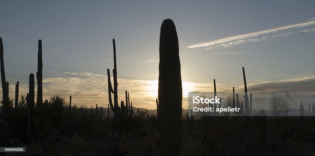 Arizona tramonto - Foto stock royalty-free di Ambientazione esterna