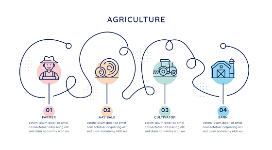 Agriculture Timeline Infographic Template for web, mobile and printed media