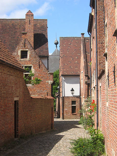 istock Old Cobblestone Road with Traditional Houses 145246306