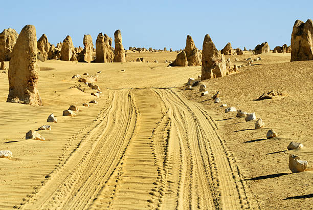 istock Car tracks in the Pinnacles desert 145246368