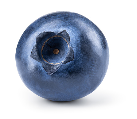 Blueberry isolated. Blueberry on white background. Blueberry with clipping path. Full depth of field.
