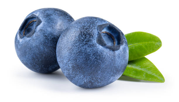 Blueberry isolated. Blueberry with leaves on white background. Two blueberries with clipping path. Full depth of field. Blueberry isolated. Blueberry with leaves on white background. Two blueberries with clipping path. Full depth of field. blueberry stock pictures, royalty-free photos & images