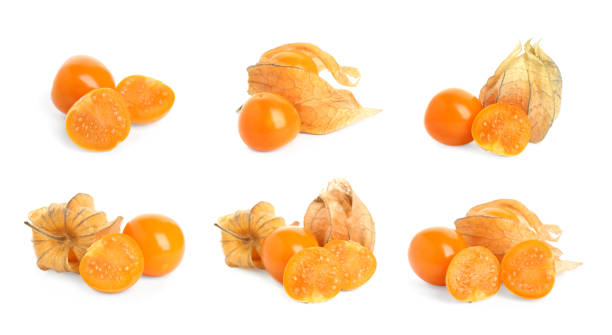 Set with tasty ripe physalis fruits on white background Set with tasty ripe physalis fruits on white background gooseberry cape winter cherry berry fruit stock pictures, royalty-free photos & images