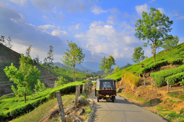 istock An auto rickshaw travelling in the road surrounded by tea gardens. 1452464390