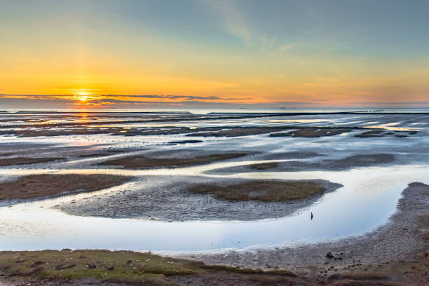 istock Aerial view over salt marsh plains Wadden Sea 1452464646