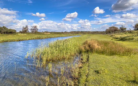Landscape with canal in Amsterdamse waterleidingduinen drinking water reservoir nature reserve, the Netherlands