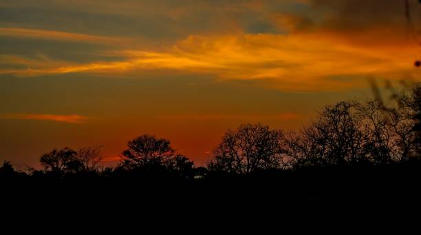 istock Beautiful sunset with a cloudy orange sky with trees in the foreground 1452465958