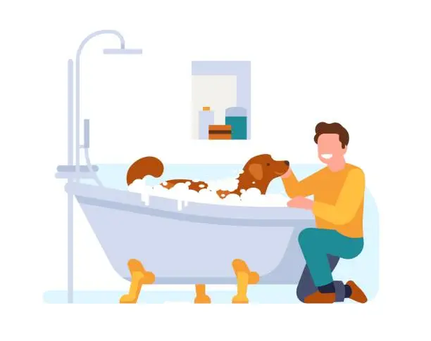 Vector illustration of Man washes his dog in bathtub. Puppy bathing. Person cleaning domestic animals fur with shampoo in bathroom. Soap foam. Canine mammal hygiene. Home grooming. Pet in bath. Vector concept