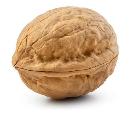 Walnut isolated. Unpeeled walnut on white background. With clipping path. Full depth of field.