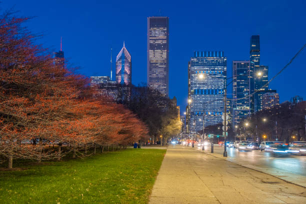 istock Chicago Cityscape, a Park and a Street 1452467518