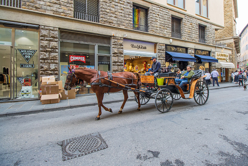 Fiaccheraio on Horse-Drawn Carriage at Florence in Tuscany, Italy, with passengers visible.