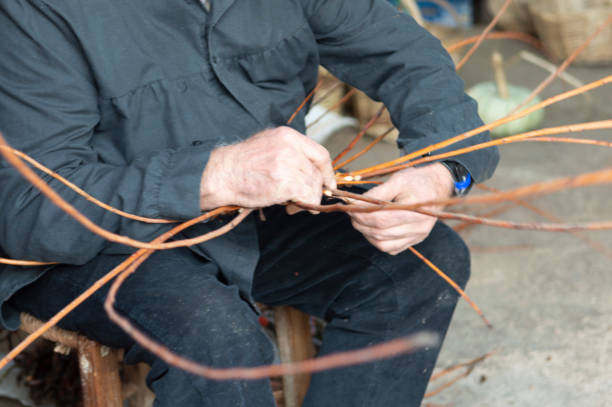 close-up of a wicker craftsman's hands preparing a basket