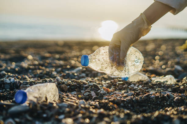 istock Woman volunteer cleaning up beach, picking up plastic bottles 1452473447