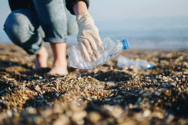 istock Woman volunteer cleaning up beach, picking up plastic bottles 1452473450