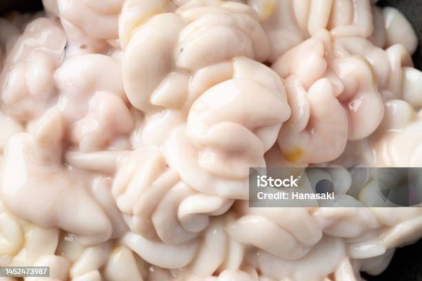 Cod Fish Milt Cod Milt Shirako Stock Photo - Download Image Now - Fish, Milt ...
