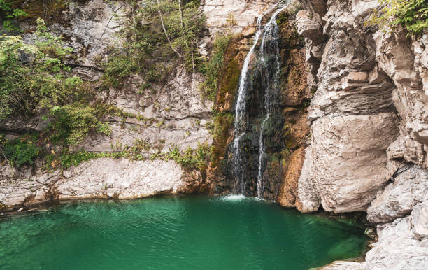 istock wonderful small waterfall that forms a pond of emerald water in a forest 1452475819