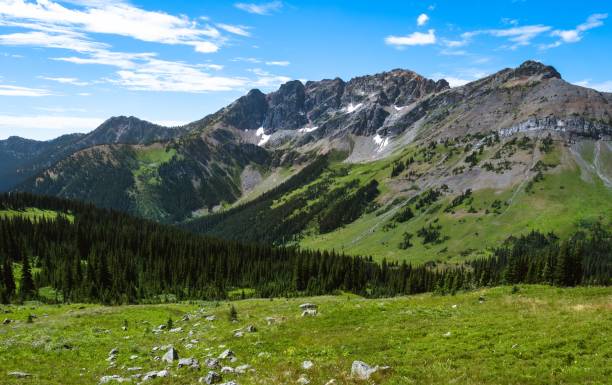 istock Aerial view of mountain landscape surrounded by dense trees 1452476318